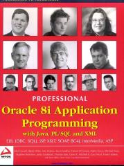 Professional Oracle 8i Application Programming with Java, PL-SQL and XML.pdf