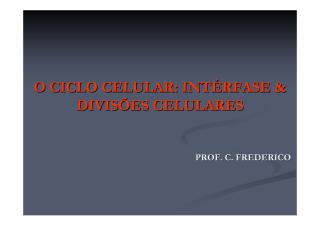 ciclo celular.pdf