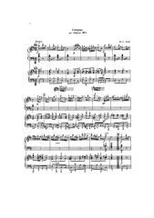 sheets-Jean-Sébastien Bach - Suite n°2 Badinerie (Duo d'Accordéons).pdf