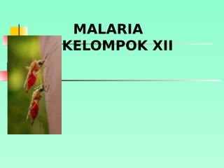 PPT Malaria.pptx